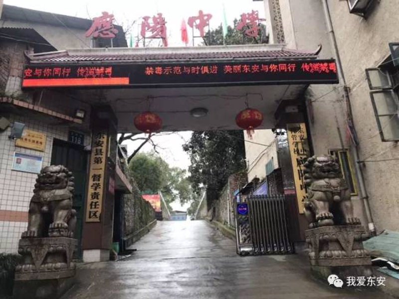 工具推荐类：对比分析多个招聘平台，选择最适合您的东安人才网